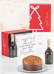 SOLE DI SAN MARTINO CONF.NEVE